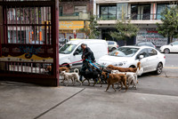 Argentina Honeymoon-31.jpg