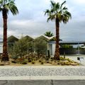 Palm Springs
